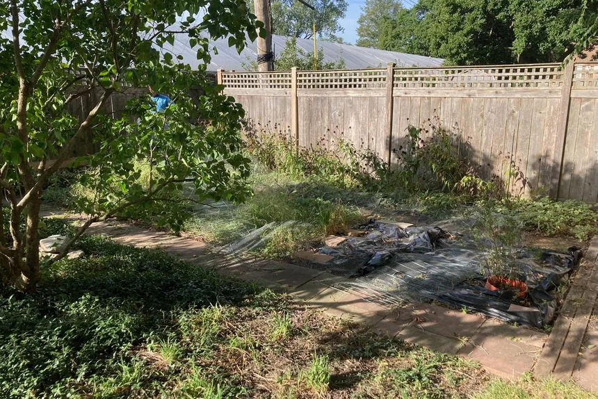 Overgrown backyard with debris tarps before yard waste removal by ONIT Junk Removal